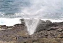 Mini Circle Island with Scenic Shores Tour